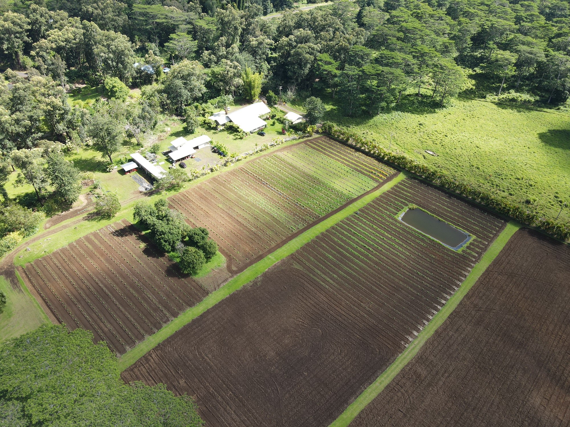 WVR Bird's Eye View